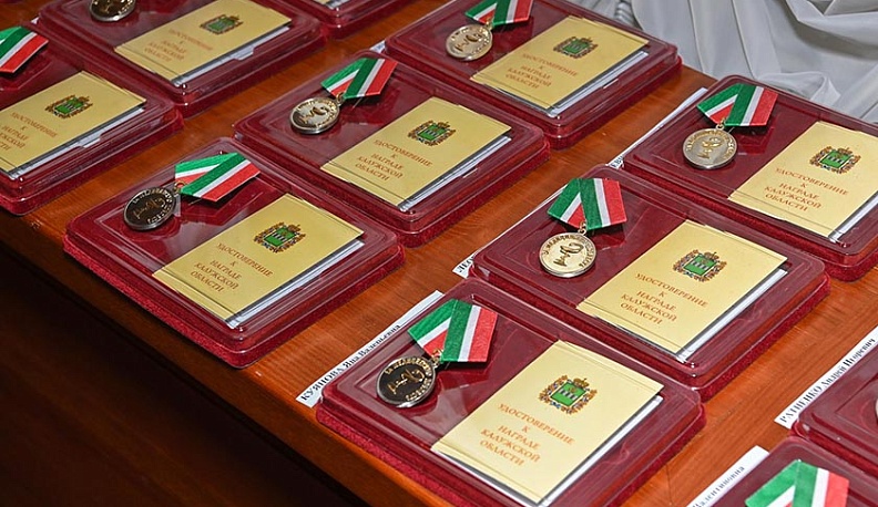 Владислав Шапша вручил государственные награды калужским врачам