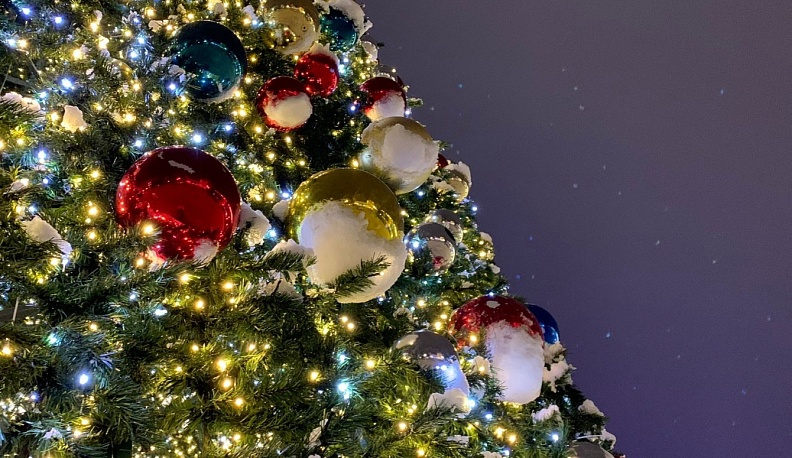 В Калуге установили 16 новогодних елок