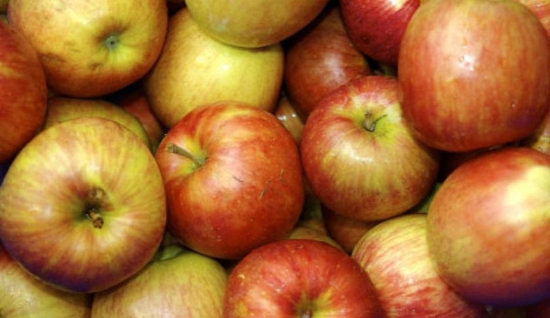 В Калуге уничтожили более 20 тонн санкционных яблок