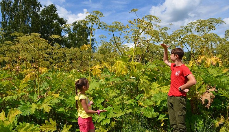 Враг за околицей