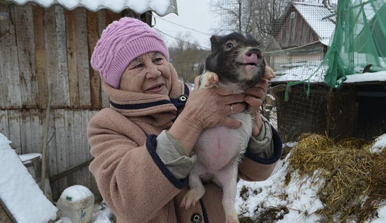 «Свинку держать – горя не знать»