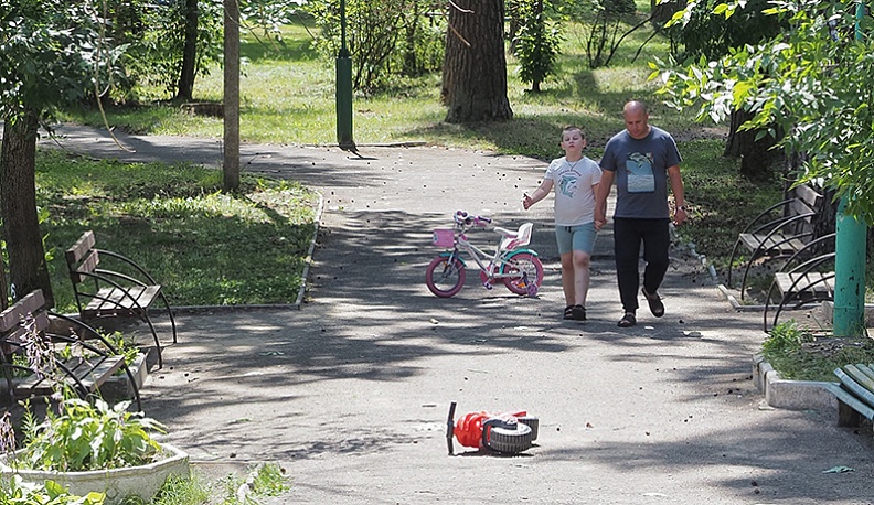 Лесная сказка