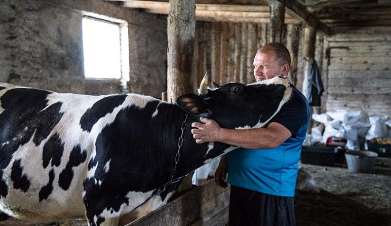 Просто хозяин