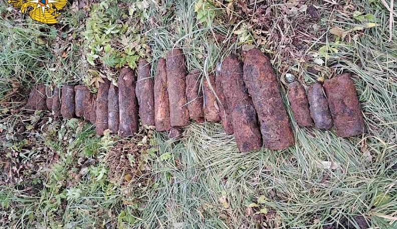 В Калужской области вблизи трассы М-3 нашли 23 снаряда