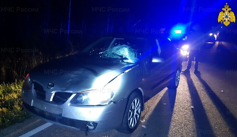 В Калужской области водитель "Ниссана" насмерть сбил пешехода