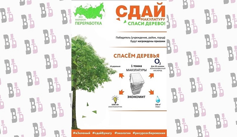 Калужан приглашают сдавать макулатуру