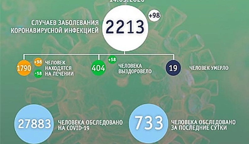 В Калужской области за последние сутки 733 человека обследовано на коронавирус
