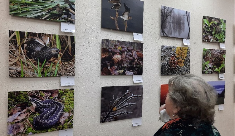 В Калуге открылась фотовыставка «Природа Калужской области»