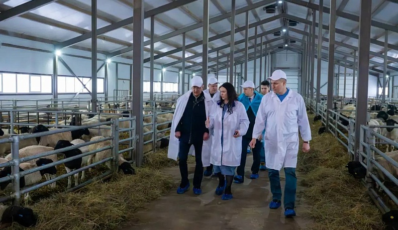 В Калужской области создают первый в России центр генетики овец