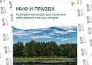 Калужанам рассказали о заблуждениях, связанных с лесными пожарами
