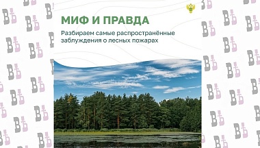 Калужанам рассказали о заблуждениях, связанных с лесными пожарами