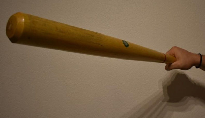 В Обнинске женщина, избившая дочь битой, получила условный срок 