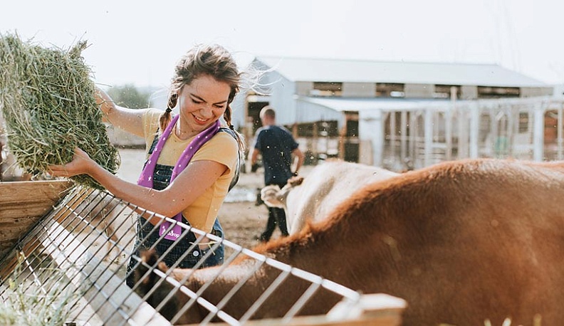 Калужских школьников приглашают на урок фермерства