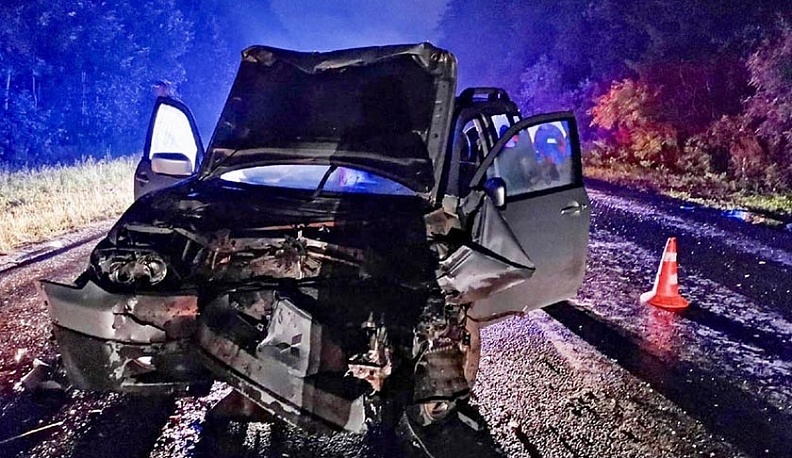 В аварии в Брянской области погибли водитель из Кирова и его маленькая дочь