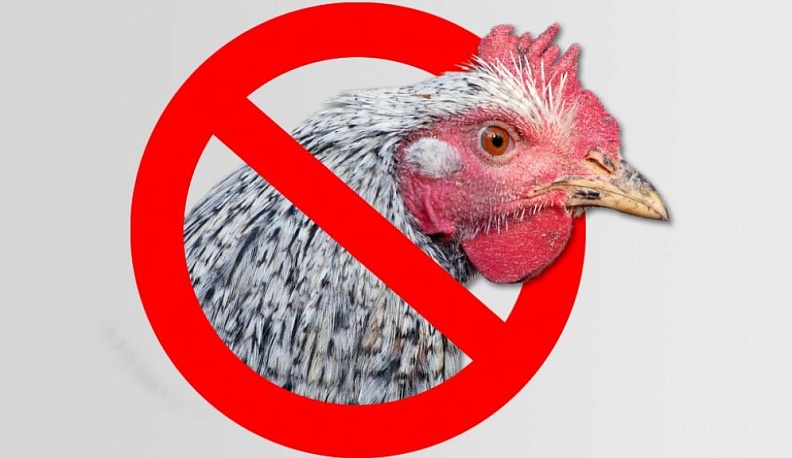 Живность вне закона