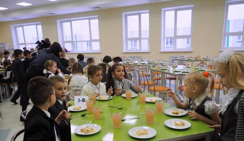 Местных производителей озадачат школьным питанием
