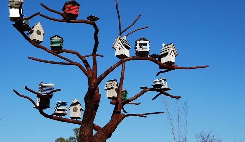 Неравнодушным калужанам предлагают поучаствовать в грантовой программе «Стальное дерево»