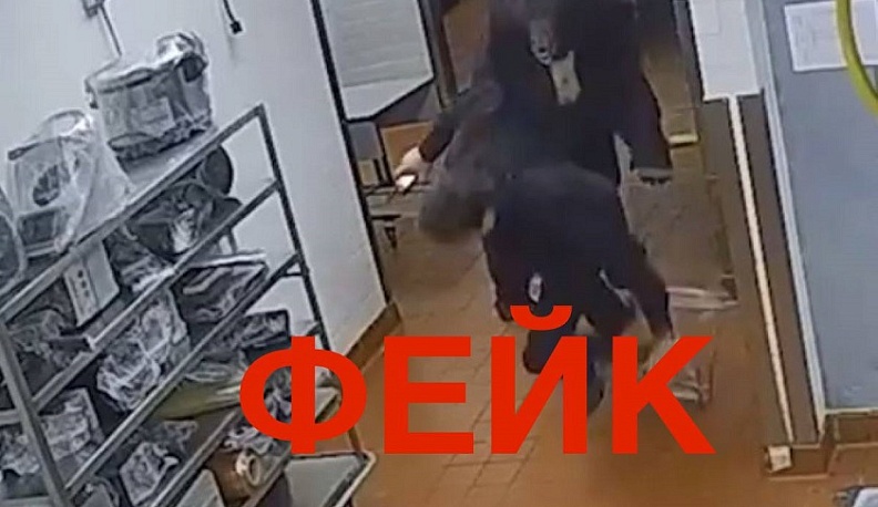 В интернете распространился фейк про нападение медведя в Полотняном Заводе