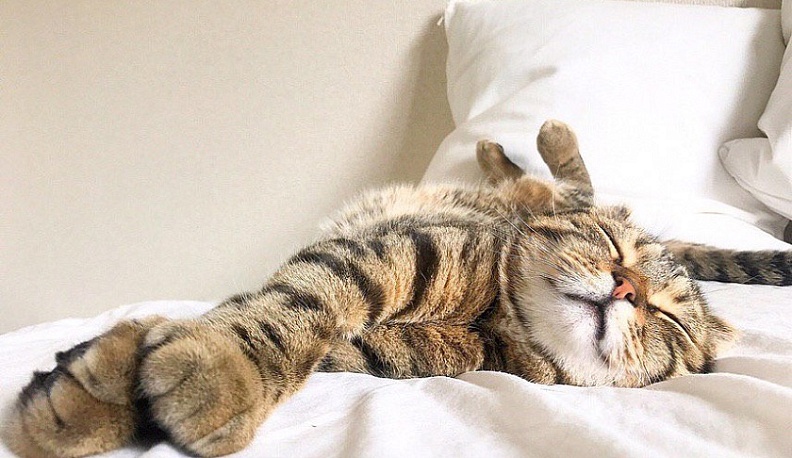 26 февраля – Международный день неторопливости