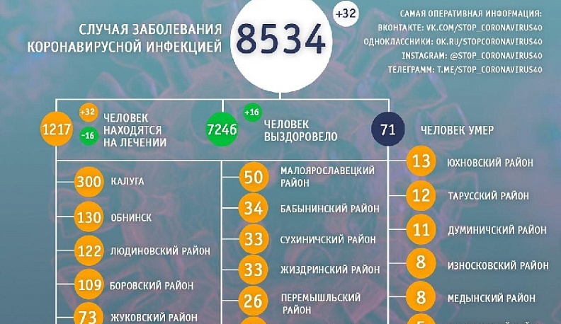 В Калужской области за сутки выздоровело 16 человек