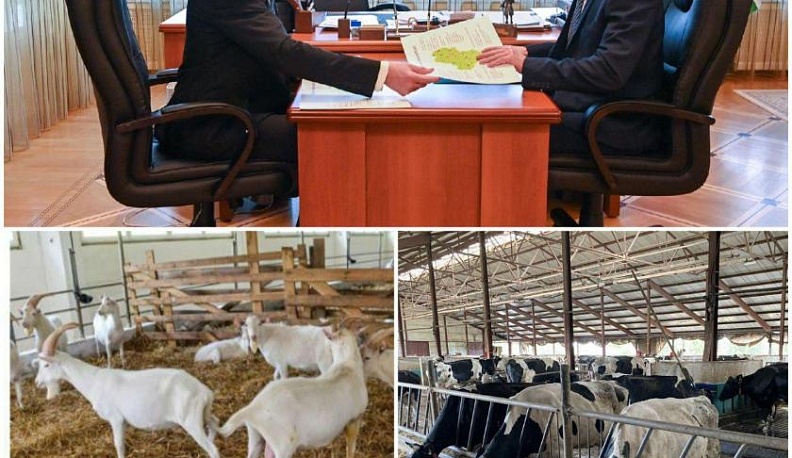 В Калужской области с начала года ветеринарная служба оказала более миллиона услуг сельхозпроизводителям