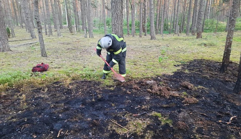 Лето в режиме МЧС