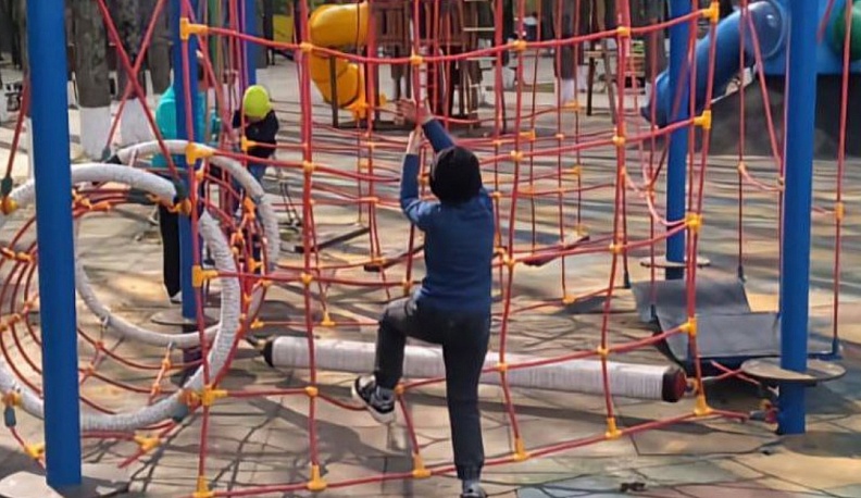 Спас-деменцы голосуют за создание добротного парка