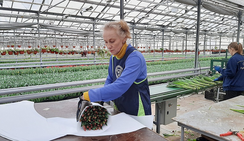 Они молчат, но говорят о многом