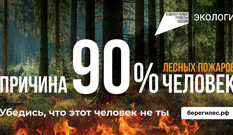 В Жуковском районе оперативно потушен лесной пожар