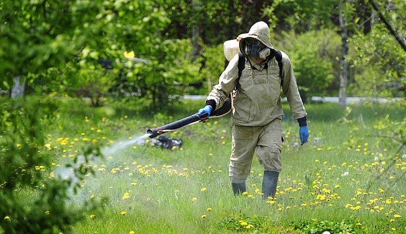 В Калуге от клещей обработали более 20 гектаров 