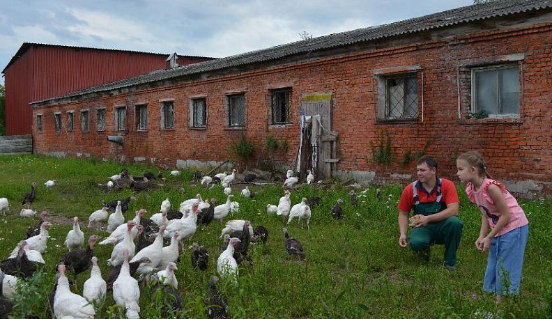 От хлева до прилавка