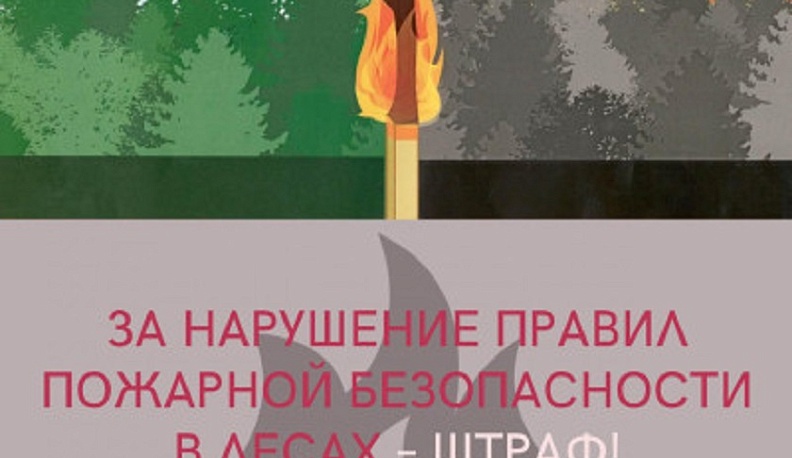 Калужанам напоминают об ответственности за нарушение противопожарных правил