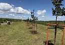 В городском парке Воротынска высадили Тимирязевскую аллею В городском парке Воротынска высадили Тимирязевскую аллею