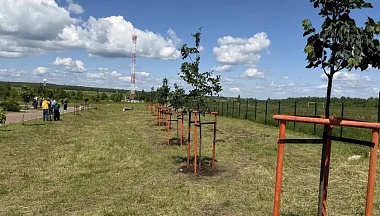 В городском парке Воротынска высадили Тимирязевскую аллею