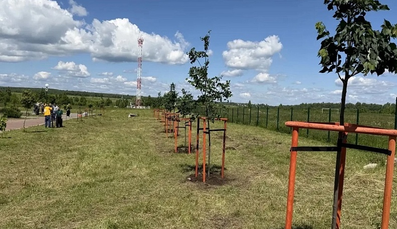 В городском парке Воротынска высадили Тимирязевскую аллею