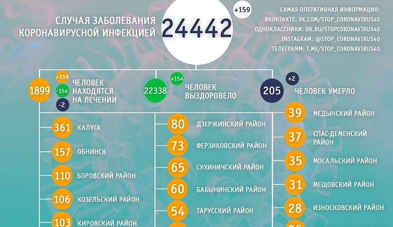 В Калужской области от коронавируса за сутки скончались два человека