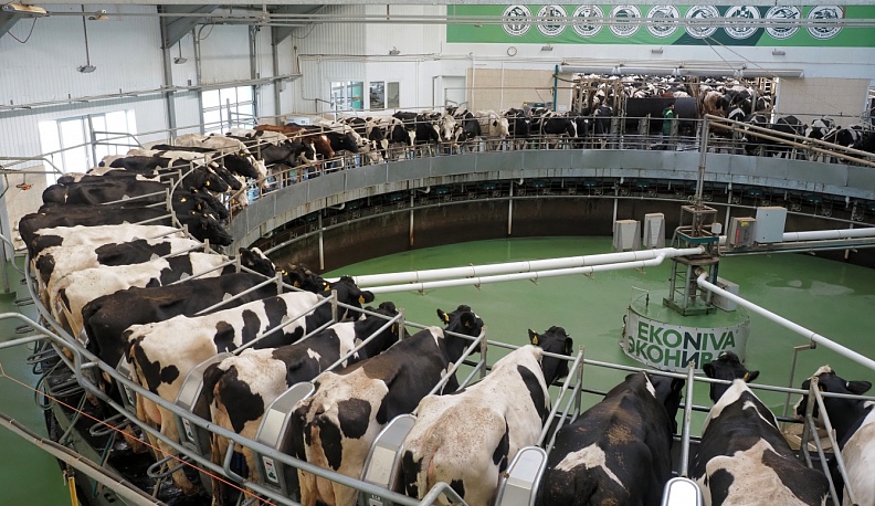 В Калужской области фермы готовятся к зиме