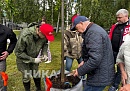 Анатолий Артамонов посадил деревья в Хвастовичском округе в селе Красное Анатолий Артамонов посадил деревья в Хвастовичском округе в селе Красное