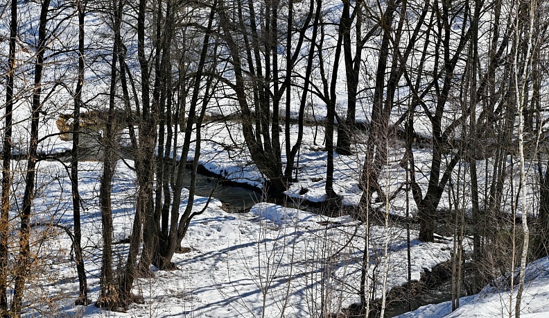 В Калуге Всемирный день воды отметили уборкой берегов Киёвки