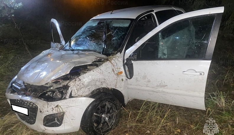 В полночь в Жуковском районе автомобиль съехал в кювет