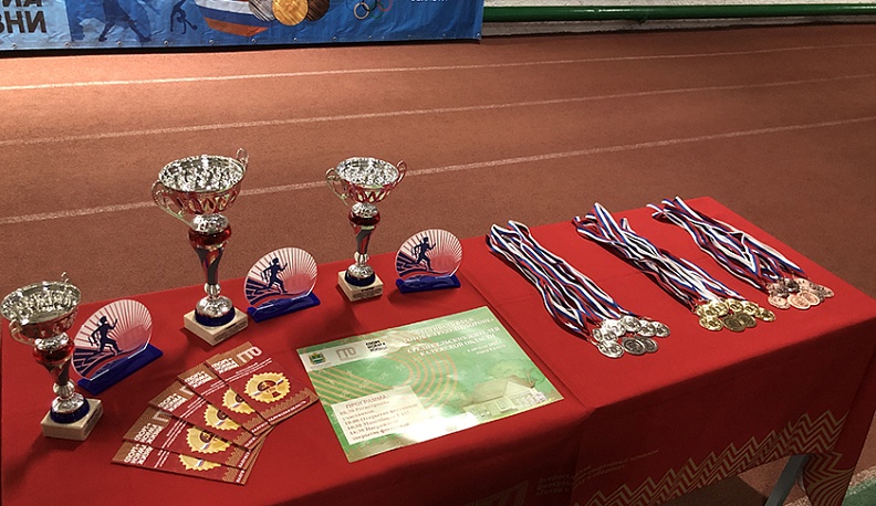 Цель – попасть  в «Лесную сказку»