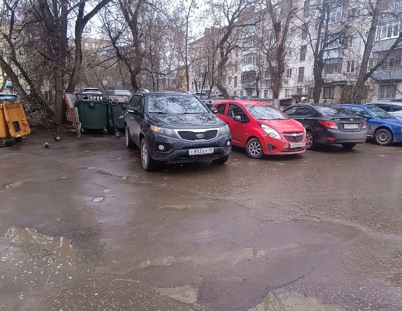 Общество
