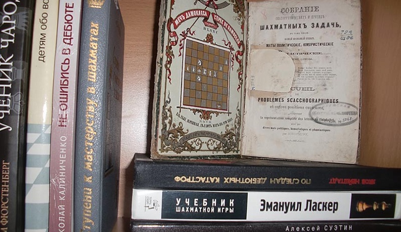 В Калуге завершается шахматная выставка «Ход конём» 