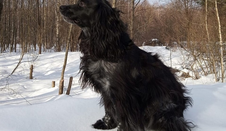 Синоптики прогнозируют похолодание в Калуге до -11