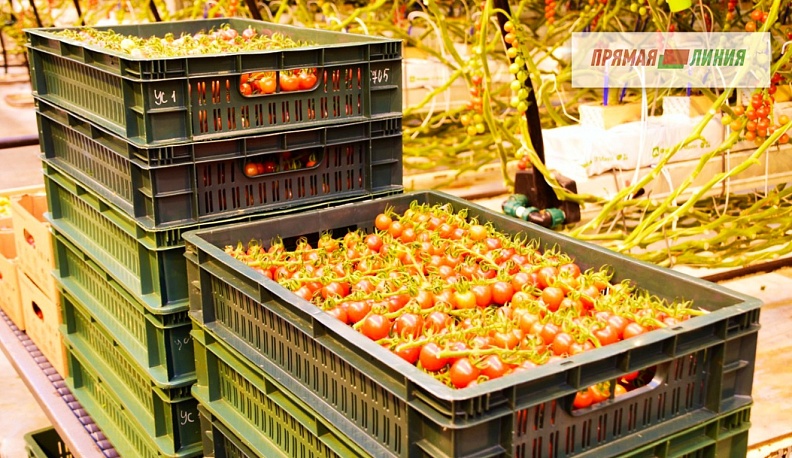 Вкусные, узнаваемые, свои