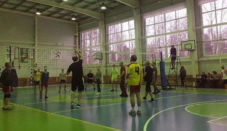 В борьбе за кубок