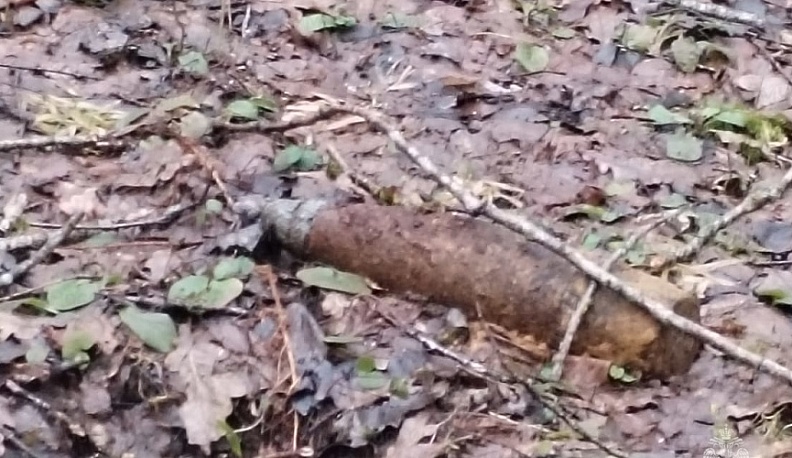 В Ульяновском районе обнаружили боеприпасы времен Великой Отечественной войны