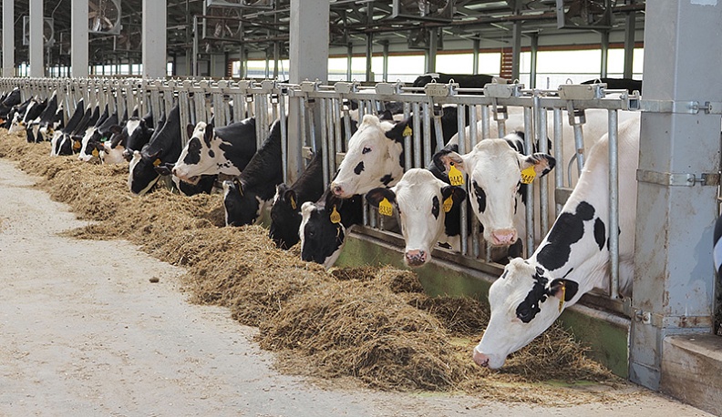 На пути  к калужскому миллиону