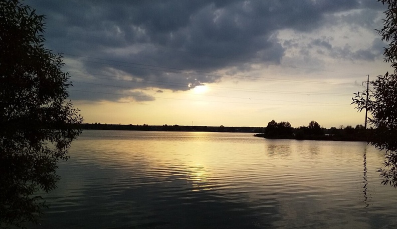 При анализе воды в озере Ломпадь в Людинове выявили превышение аммония