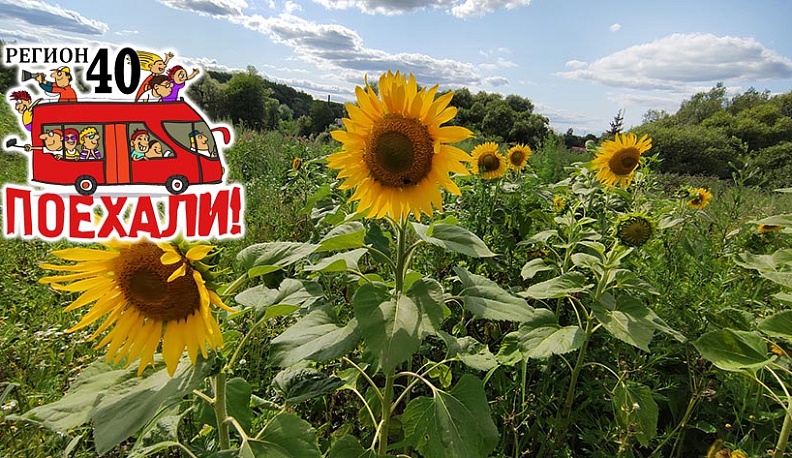Регион 40. Поехали! Медынский край: знакомьтесь и влюбляйтесь